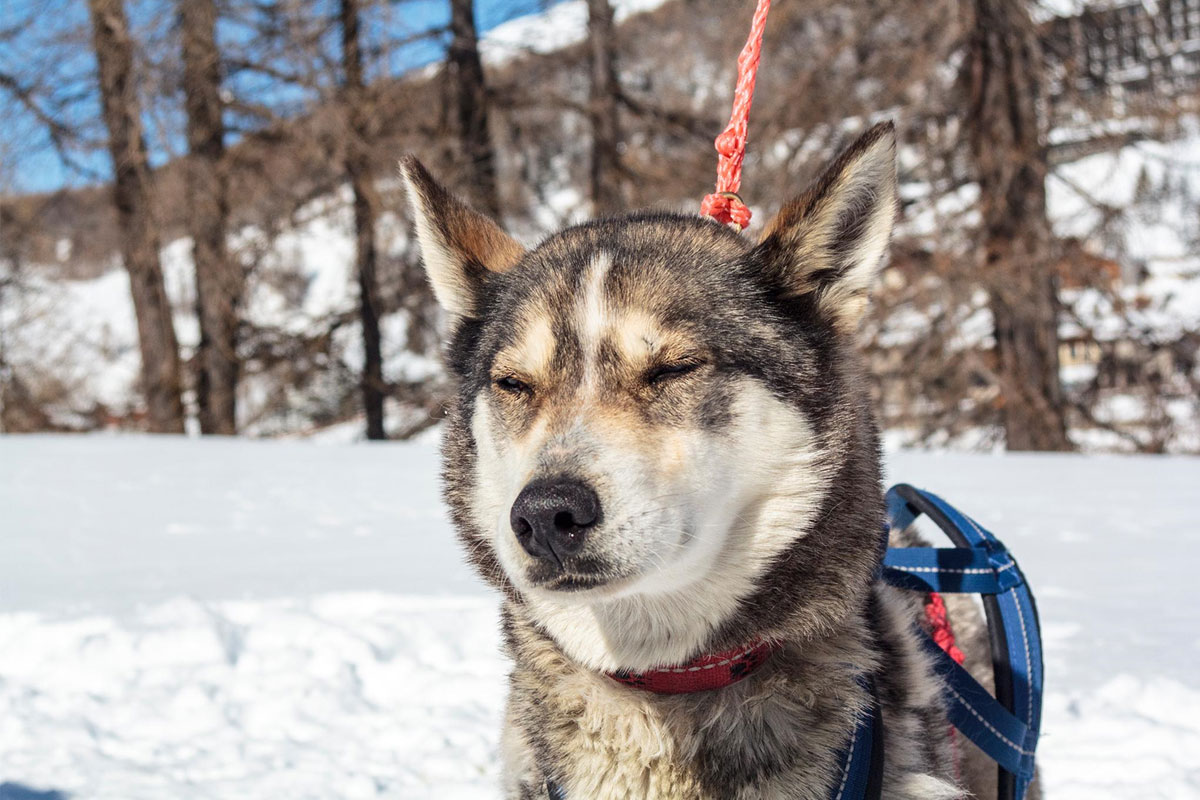 Kiruna