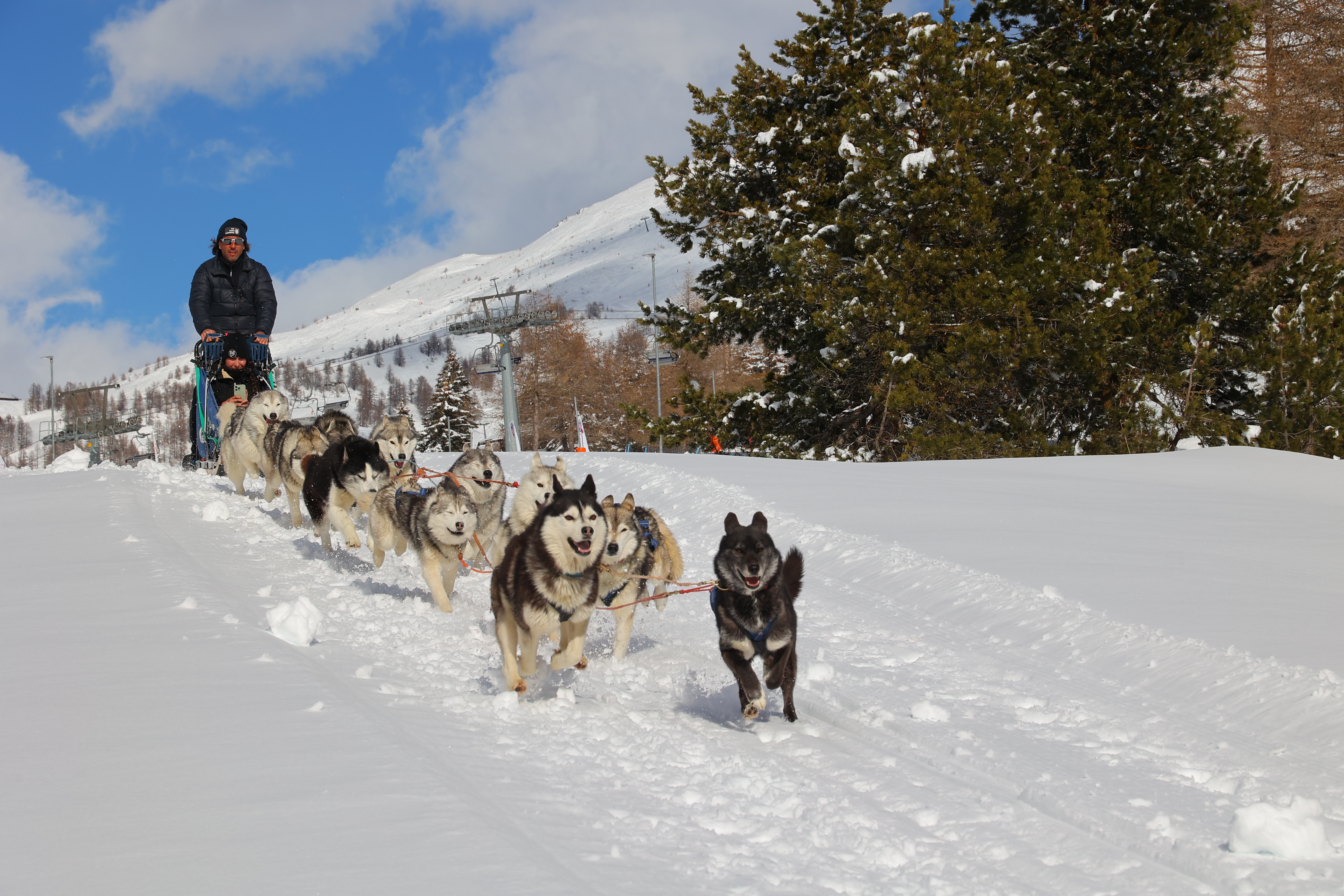 A family, not a dog park